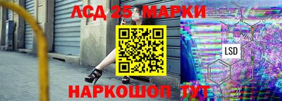 гидра Шахты