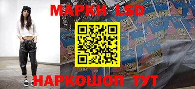 гидра Шахты