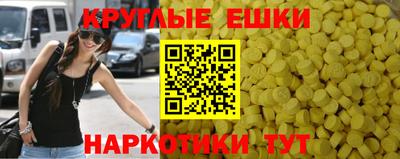 гидра Шахты