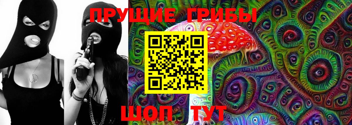 Галлюциногенные грибы Cubensis Бузулук