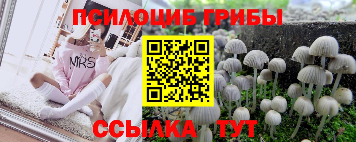 Галлюциногенные грибы прущие грибы  купить   Бузулук  Псилоцибиновые грибы Psilocybine cubensis  Вход с VPN 